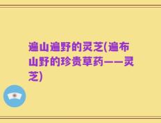 遍山遍野的灵芝(遍布山野的珍贵草药——灵芝)