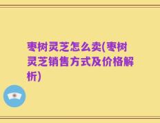 枣树灵芝怎么卖(枣树灵芝销售方式及价格解析)