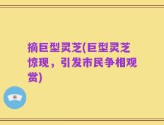 摘巨型灵芝(巨型灵芝惊现，引发市民争相观赏)