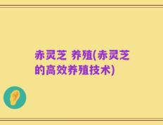 赤灵芝 养殖(赤灵芝的高效养殖技术)