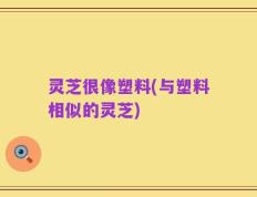 灵芝很像塑料(与塑料相似的灵芝)