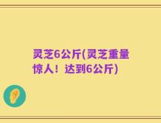 灵芝6公斤(灵芝重量惊人！达到6公斤)