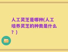 人工灵芝是哪种(人工培养灵芝的种类是什么？)