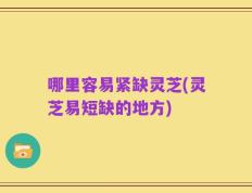 哪里容易紧缺灵芝(灵芝易短缺的地方)
