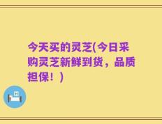 今天买的灵芝(今日采购灵芝新鲜到货，品质担保！)
