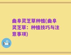曲阜灵芝草种植(曲阜灵芝草：种植技巧与注意事项)