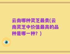 云南哪种灵芝最贵(云南灵芝中价值最高的品种是哪一种？)