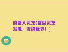 摘巨大灵芝(巨型灵芝发现：震撼世界！)