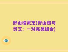 野山楂灵芝(野山楂与灵芝：一对完美组合)