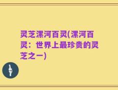 灵芝漯河百灵(漯河百灵：世界上最珍贵的灵芝之一)