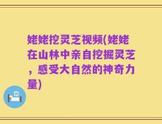 姥姥挖灵芝视频(姥姥在山林中亲自挖掘灵芝，感受大自然的神奇力量)