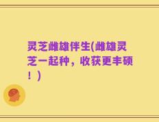 灵芝雌雄伴生(雌雄灵芝一起种，收获更丰硕！)