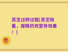 灵芝过秤过程(灵芝称重，保障药效营养效果！)