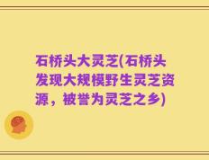 石桥头大灵芝(石桥头发现大规模野生灵芝资源，被誉为灵芝之乡)
