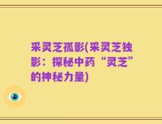 采灵芝孤影(采灵芝独影：探秘中药“灵芝”的神秘力量)