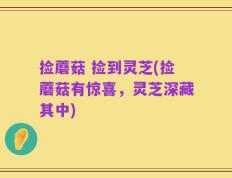 捡蘑菇 捡到灵芝(捡蘑菇有惊喜，灵芝深藏其中)