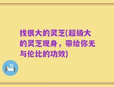 找很大的灵芝(超级大的灵芝现身，带给你无与伦比的功效)