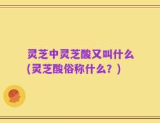 灵芝中灵芝酸又叫什么(灵芝酸俗称什么？)