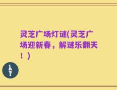 灵芝广场灯谜(灵芝广场迎新春，解谜乐翻天！)