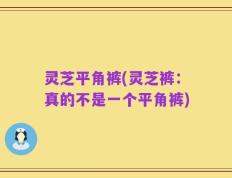灵芝平角裤(灵芝裤：真的不是一个平角裤)