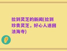 捡到灵芝的新闻(捡到珍贵灵芝，好心人送回法海寺)