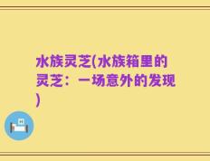 水族灵芝(水族箱里的灵芝：一场意外的发现)