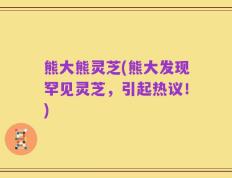 熊大熊灵芝(熊大发现罕见灵芝，引起热议！)