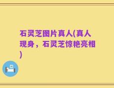 石灵芝图片真人(真人现身，石灵芝惊艳亮相)