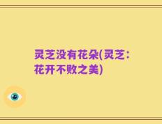 灵芝没有花朵(灵芝：花开不败之美)