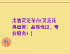 出售灵芝花卉(灵芝花卉出售：品质保证，专业服务！)