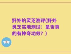 野外的灵芝测评(野外灵芝实地测试：是否真的有神奇功效？)