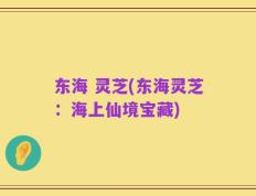 东海 灵芝(东海灵芝：海上仙境宝藏)