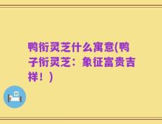 鸭衔灵芝什么寓意(鸭子衔灵芝：象征富贵吉祥！)