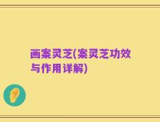 画案灵芝(案灵芝功效与作用详解)