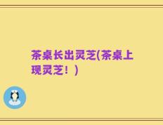 茶桌长出灵芝(茶桌上现灵芝！)