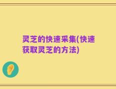 灵芝的快速采集(快速获取灵芝的方法)