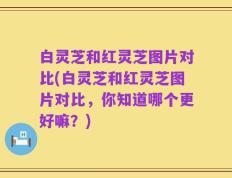 白灵芝和红灵芝图片对比(白灵芝和红灵芝图片对比，你知道哪个更好嘛？)