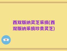 西双版纳灵芝采摘(西双版纳采摘珍贵灵芝)