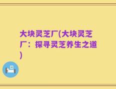 大块灵芝厂(大块灵芝厂：探寻灵芝养生之道)