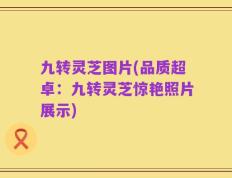 九转灵芝图片(品质超卓：九转灵芝惊艳照片展示)