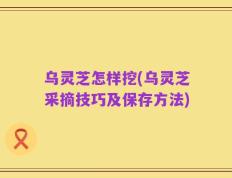 乌灵芝怎样挖(乌灵芝采摘技巧及保存方法)