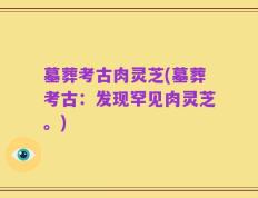 墓葬考古肉灵芝(墓葬考古：发现罕见肉灵芝。)