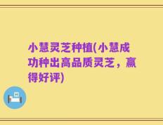 小慧灵芝种植(小慧成功种出高品质灵芝，赢得好评)