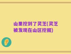 山里挖到了灵芝(灵芝被发现在山区挖掘)