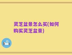 灵芝盆景怎么买(如何购买灵芝盆景)