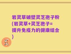 岩灵草破壁灵芝孢子粉(岩灵草+灵芝孢子=提升免疫力的健康组合)