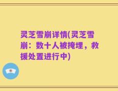 灵芝雪崩详情(灵芝雪崩：数十人被掩埋，救援处置进行中)