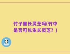 竹子里长灵芝吗(竹中是否可以生长灵芝？)