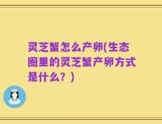 灵芝蟹怎么产卵(生态圈里的灵芝蟹产卵方式是什么？)