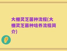 大棚灵芝菌种流程(大棚灵芝菌种培养流程简介)